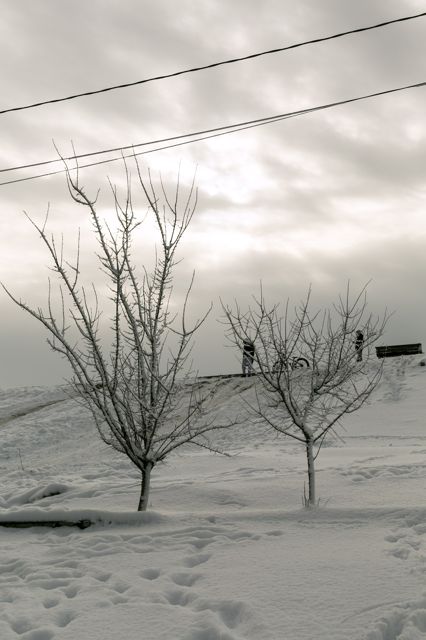 Sieranevada_DL0A5822